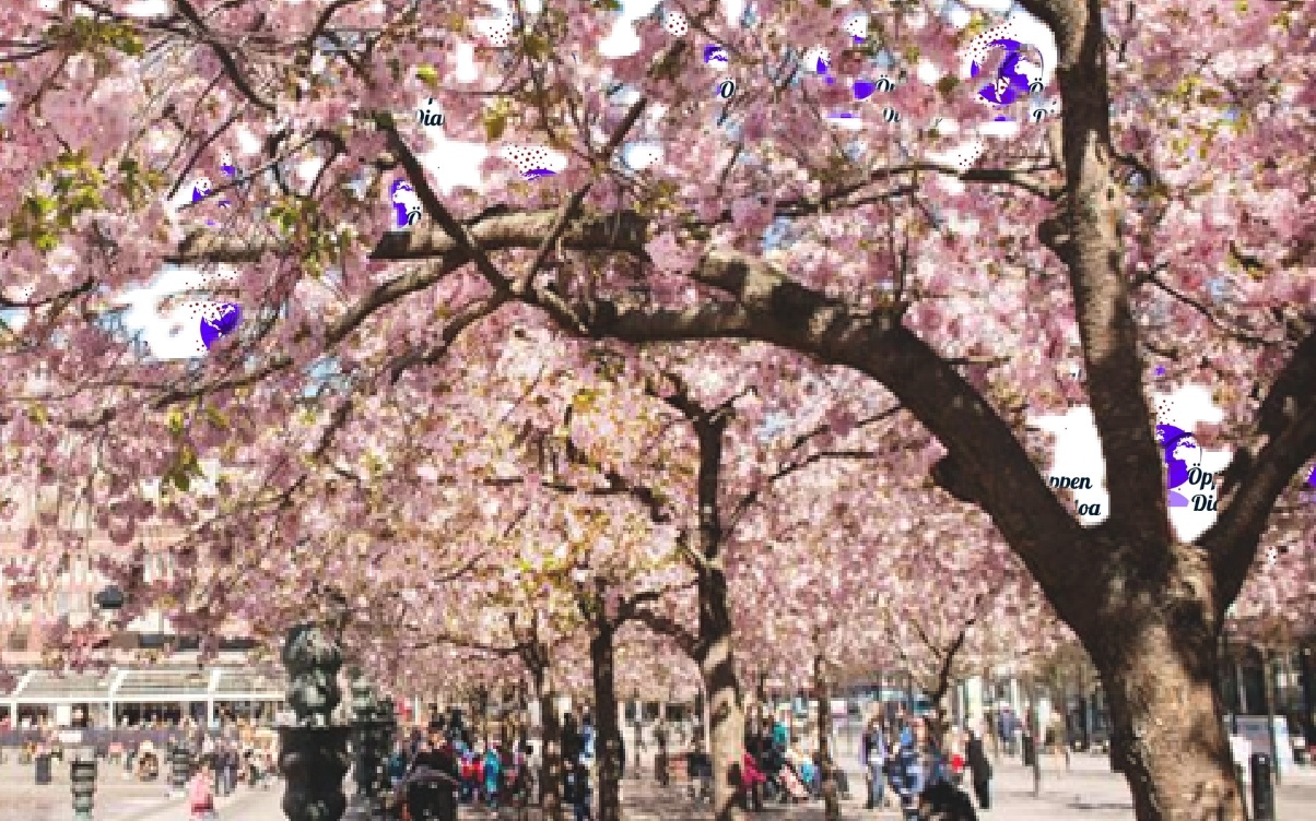 حلّ الربيع في ستوكهولم