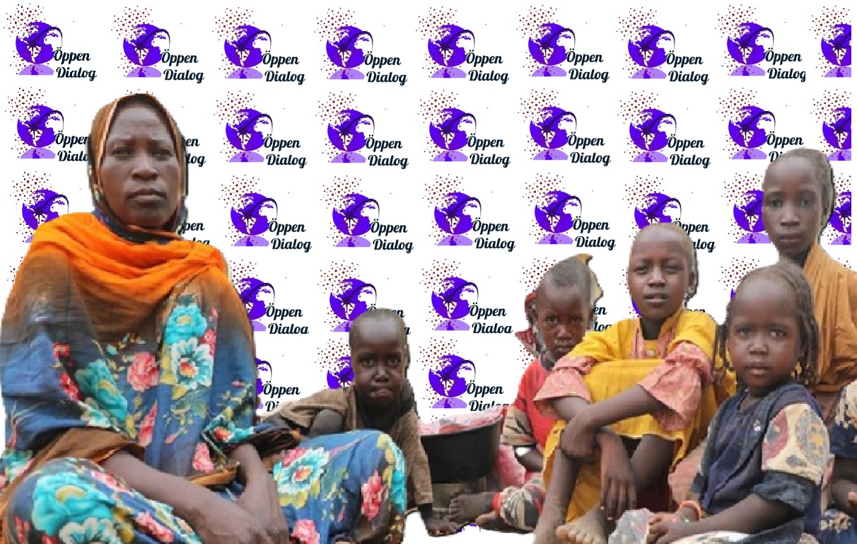  منظمات حقوقية تقول بأن نساء سودانيات يُغتصبن كل ساعة في دارفور