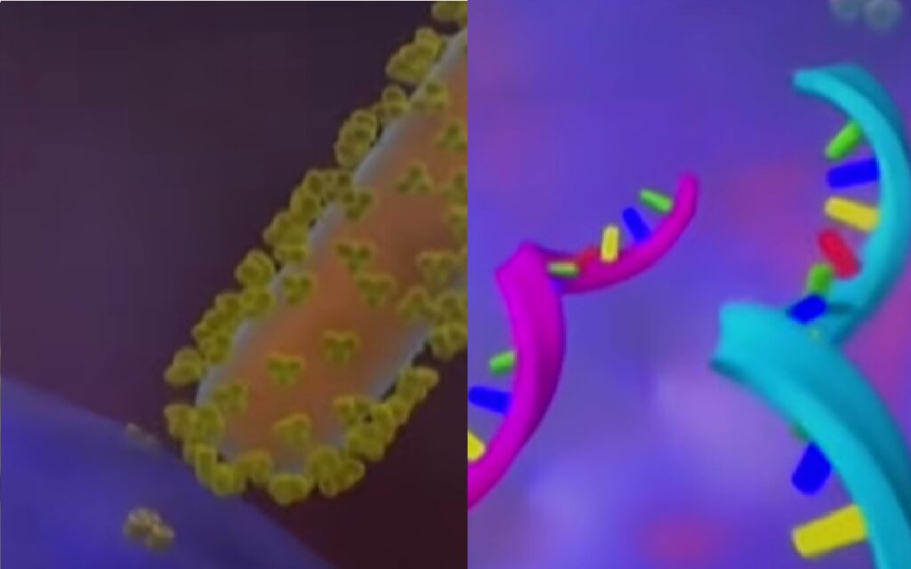 فيروس ايبولا